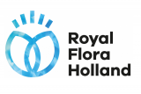 Royal FloraHolland 2